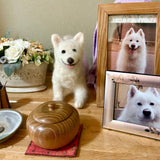 Memory box