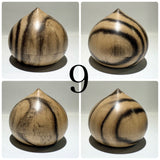 Black persimmon kogo/小物入れ Houju Jingasa Hamaguri