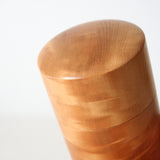 Tea caddy, horse chestnut, 06